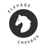 levage chevaux